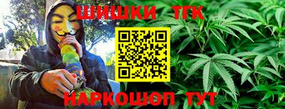 индика Аргун