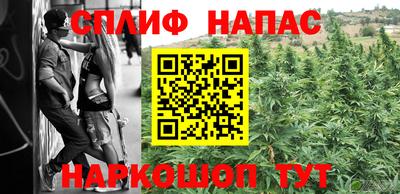 индика Аргун