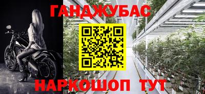 индика Аргун