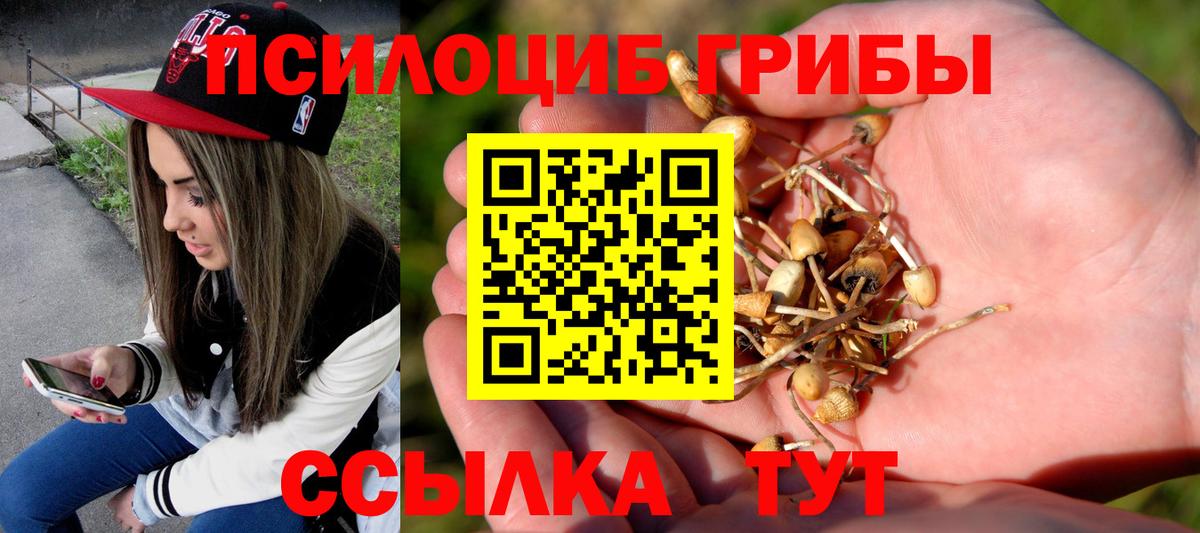 Бахчисарай  Псилоцибиновые грибы прущие грибы  Вход с VPN  Псилоцибиновые грибы Cubensis 