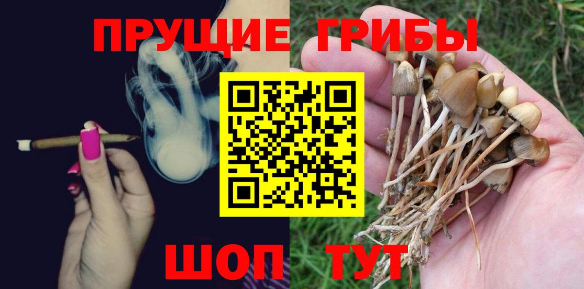 Галлюциногенные грибы MAGIC MUSHROOMS Бахчисарай